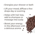 thumbnail image 3 of Plant Therapy Huile Essentielle Diffusible 30mL, 1 Once, Café, 3 of 6