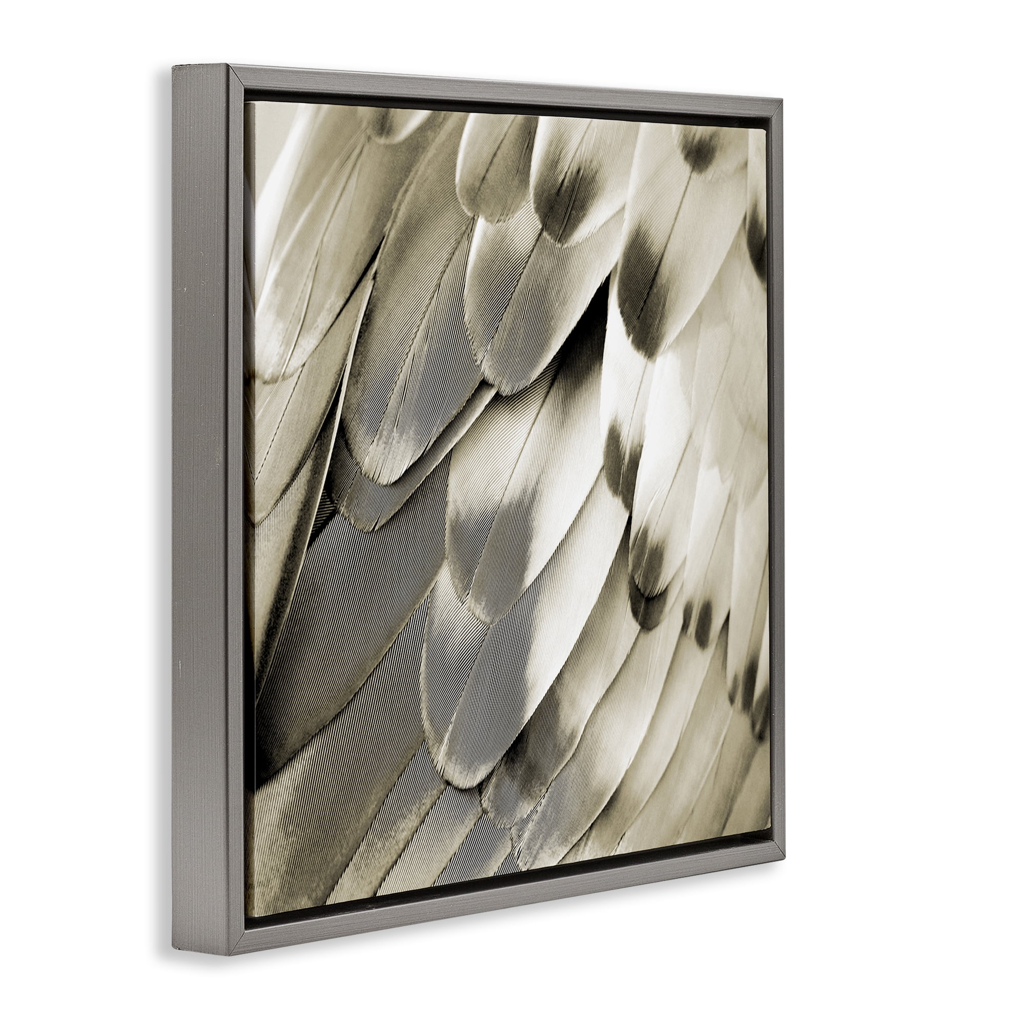 Stupell Industries Sleek Feathers Close Up Animals Painting Gray Floater Framed Canvas Art Print Wall Art, 18 x 18