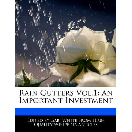 Rain Gutters Vol.1 : An Important Investment
