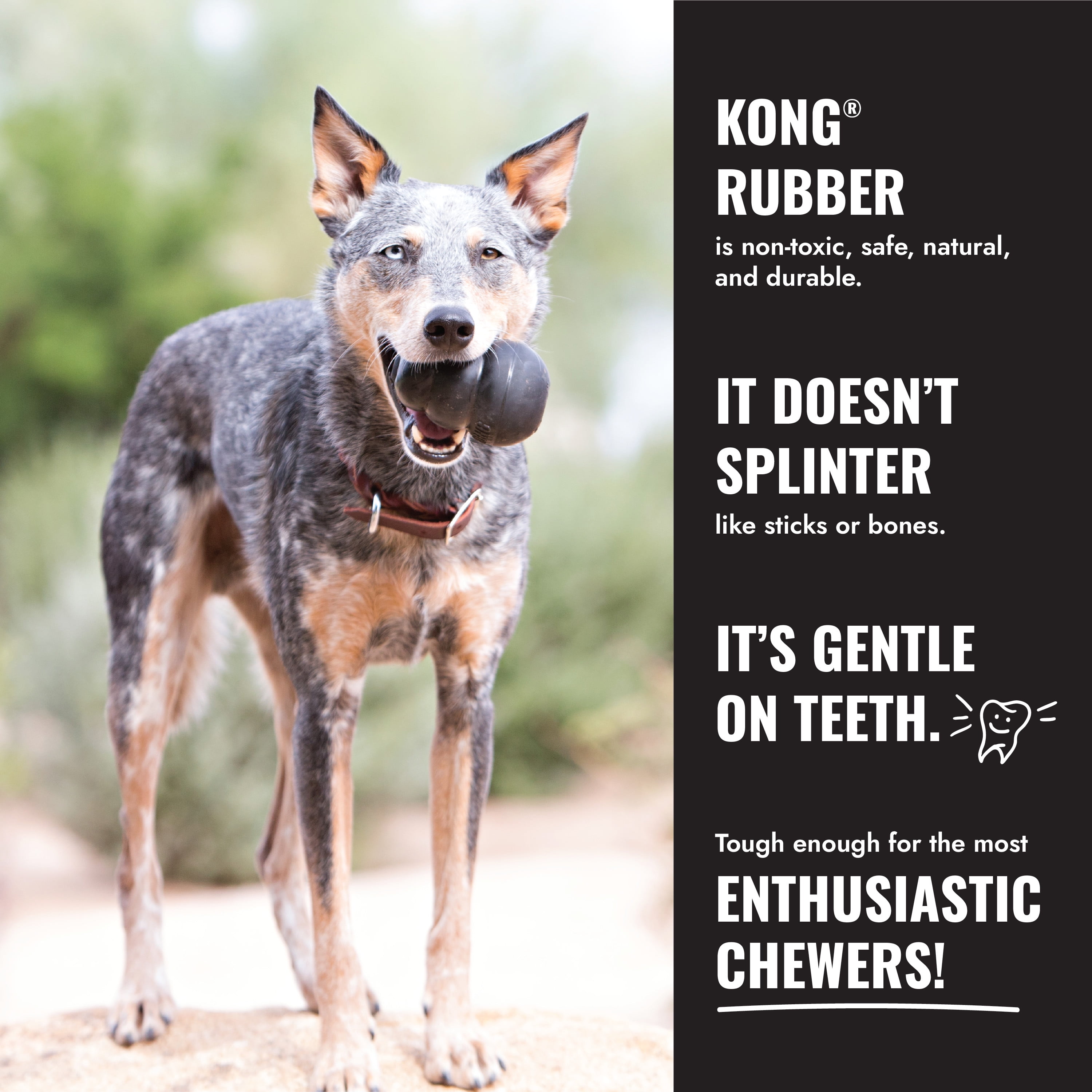 KONG® Extreme Rubber Goodie Bone for Power Chewers, Extra Large for Dogs Between 60-90 lbs