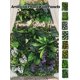 thumbnail image 3 of Césped Artificial de Bajo Mantenimiento – Césped Sintético para Todo Clima para el Hogar, Balcón, Patios de Mascotas y Golf, 3 of 18