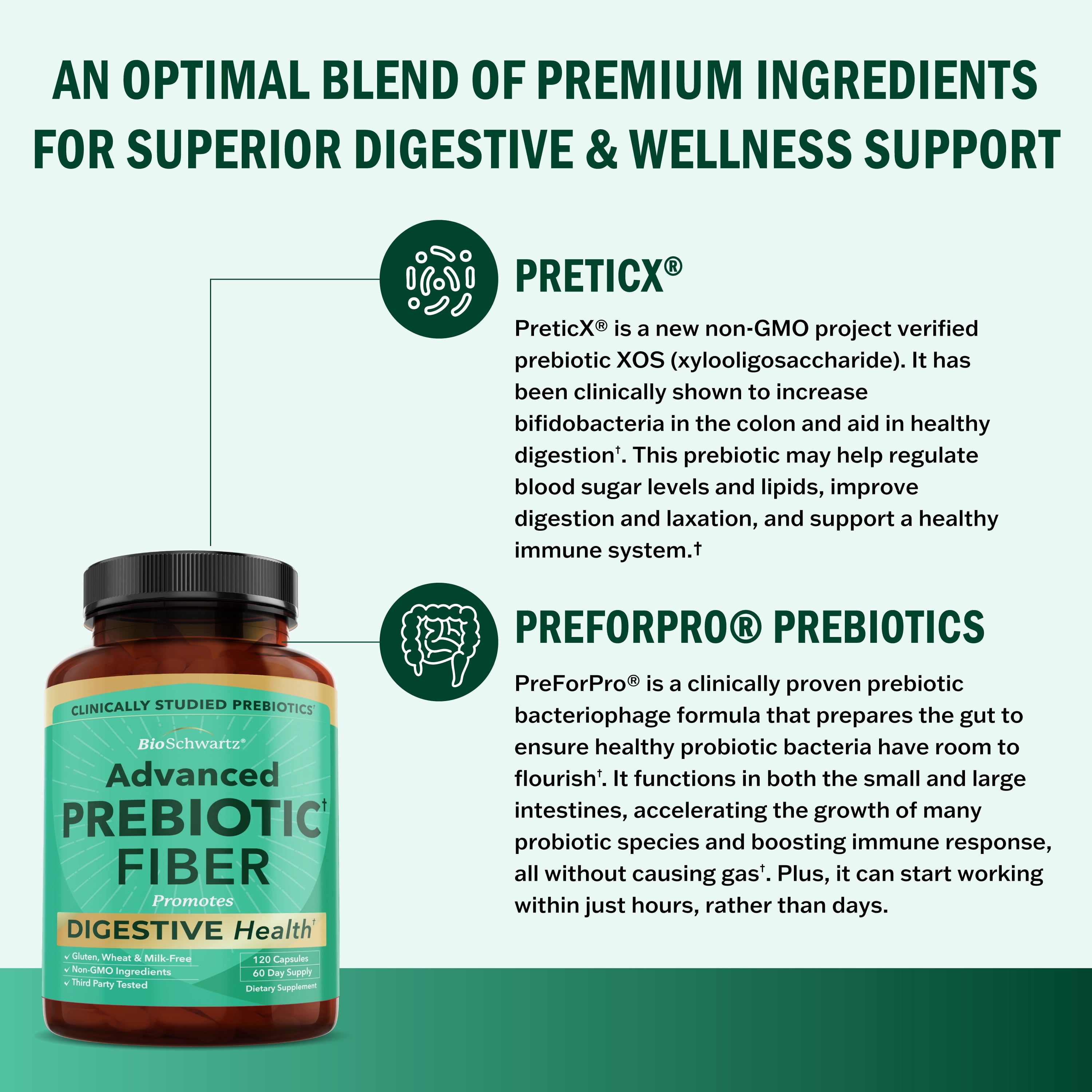BioSchwartz Advanced Prebiotics Gut Health Supplement for Women and Men, 120 Capsules