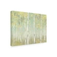 thumbnail image 3 of Trademark Fine Art 'Sylvan Birches' Canvas Art by Julia Purinton, 3 of 3