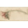 thumbnail image 1 of Grandes Fleurs Roses Beige Vintage Papier Peint Bord Rétro Design, Rouleau 15' x 5,25'', 1 of 3