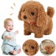 thumbnail image 5 of Simulación Pet Juguete Lindos para Realistas, 5 of 9