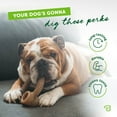 thumbnail image 3 of Benebone Ring Durable Dog Chew Toy for Aggressive Chewers, Real Bacon, Large, 3 of 6