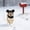 Black, variant on Adjustable Knitted Dog Hat for Medium Large Dogs - All Season Soft Beanie with Sun Brim for Walking Protection, Beige