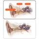 thumbnail image 3 of 2x Auriculares 5.0 de Conducción ósea, Control de Voz, Resistentes Al Sudor, 3 of 9