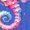 Royal Blue, variant on Inktastic Seahorse Cute Summer Girls Toddler T-Shirt