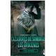 thumbnail image 1 of CAZADORES DE SOMBRAS. LOS ORIGENES 1. ANGEL MECANI BOOKET  CASSANDRA CLARE, 1 of 2
