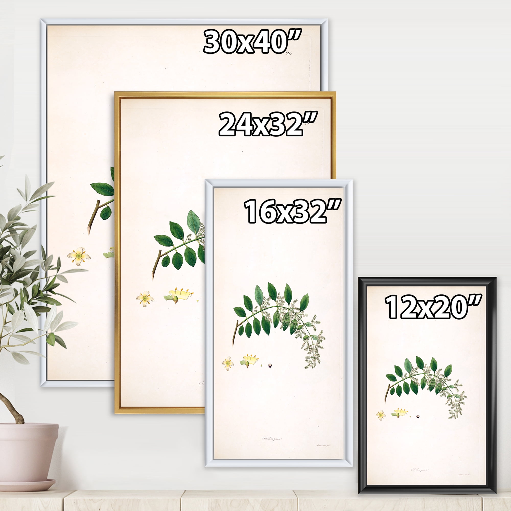 Designart 'Ancient Plant Life XVIII' Farmhouse Framed Canvas Wall Art Print