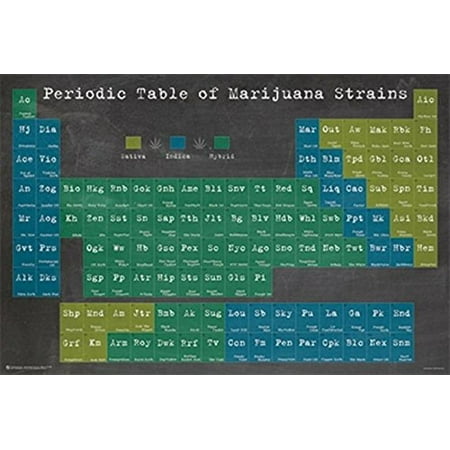 Periodic Table of Marijuana Strains 36x24 Graphic Art Print Poster