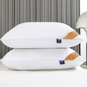 Bed Pillows Queen Size Set of 2, Luxury Hotel Quality Queen Bed Pillows, Fluffy Down Alternative Pillows 2 Pack for Sleeping, Soft Gusseted Pillows for Side, Back or Stomach Sleepers