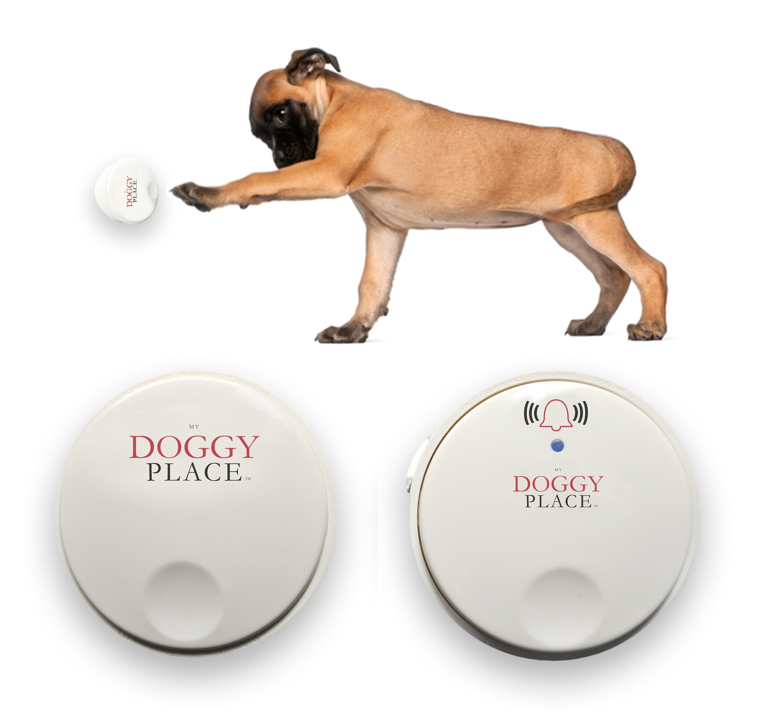 dog potty doorbell