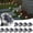 Cool White, variant on 12 Pack Solar Ground Lights,8LED Solar Lights Outdoor Garden IP44, Pathway Lights Solar Powered in-Ground Lights, Disk Lights Landscape Lighting for Lawn Patio Yard Driveway, Cool White