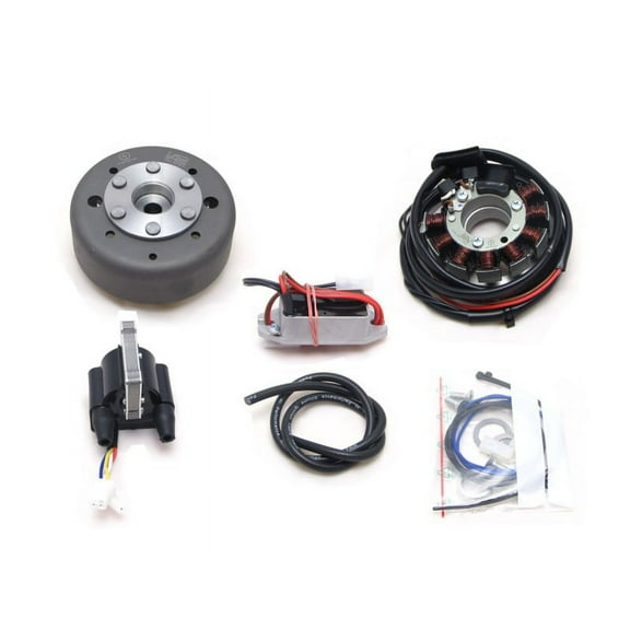 Powerdynamo (MZ-B) VAPE Ignition System Stator fits Benelli 125 250 2C DC System