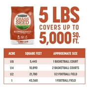 Pennington Sahara Bermudagrass, Southern Bermuda Grass Seeds for Lawn, Full Sun, 5 lb.