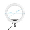 thumbnail image 3 of Lámpara fotográfica Lámpara de relleno de luz de anillo LED de 10 pulgadas Incorporada 120pcs Cuentas LED 10W Regulable 2700-5500K Temperatura de color con soporte para teléfono celular con cabezal de Abanopi Lámpara de fotografía, 3 of 7