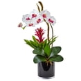 thumbnail image 3 of 26” Orchid and Bromeliad in Glossy Black Cylinder by Nearly Natural, 3 of 4
