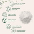 thumbnail image 3 of Micro Ingredients Péptidos de colágeno hidrolizado orgánico en polvo, 12 oz | Colágeno bovino tipo I y III para mujeres y hombres | Alta absorción | Sin sabor, apto para ceto y paleo | Fácil de mezcla, 3 of 5