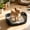 Blue, variant on Dog Potty Toilet with Column, Litter Tray Portable Pet Litter Training Potty Bedpan, Easy Rinse Material Suitable for Indoor Outdoor Small Animal, 15.75x11.81x4.33in