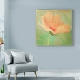 thumbnail image 3 of Trademark Fine Art 'Dream in Pink I' Canvas Art by Jennifer Jorgensen, 3 of 4