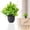 I, variant on Clearance Under $1.16! 1 Pack Small Potted Plants Artificial Greenery for Home Decor Plastic Potted Plant for Indoor Tabletop Decoration (One Size E)