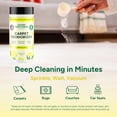thumbnail image 4 of Brand|Carpet Freshener and Deodorizer Powder|16 oz pet odor eliminator, strong odor removal and pet urine smell|Fresh natural lemon scent|Pet family safe, 4 of 4