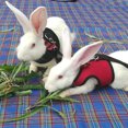 thumbnail image 4 of CAROOTU Pet Mesh Soft Harness With Leash Small Animal Vest for Hamster Rabbit Bunny, 4 of 7