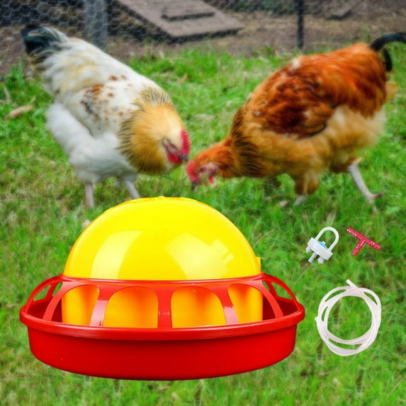 Automatic Chicken Waterer Chick Brooder Fountain Feeding for Turkeys Quail Geese - 22x12x3.5cm