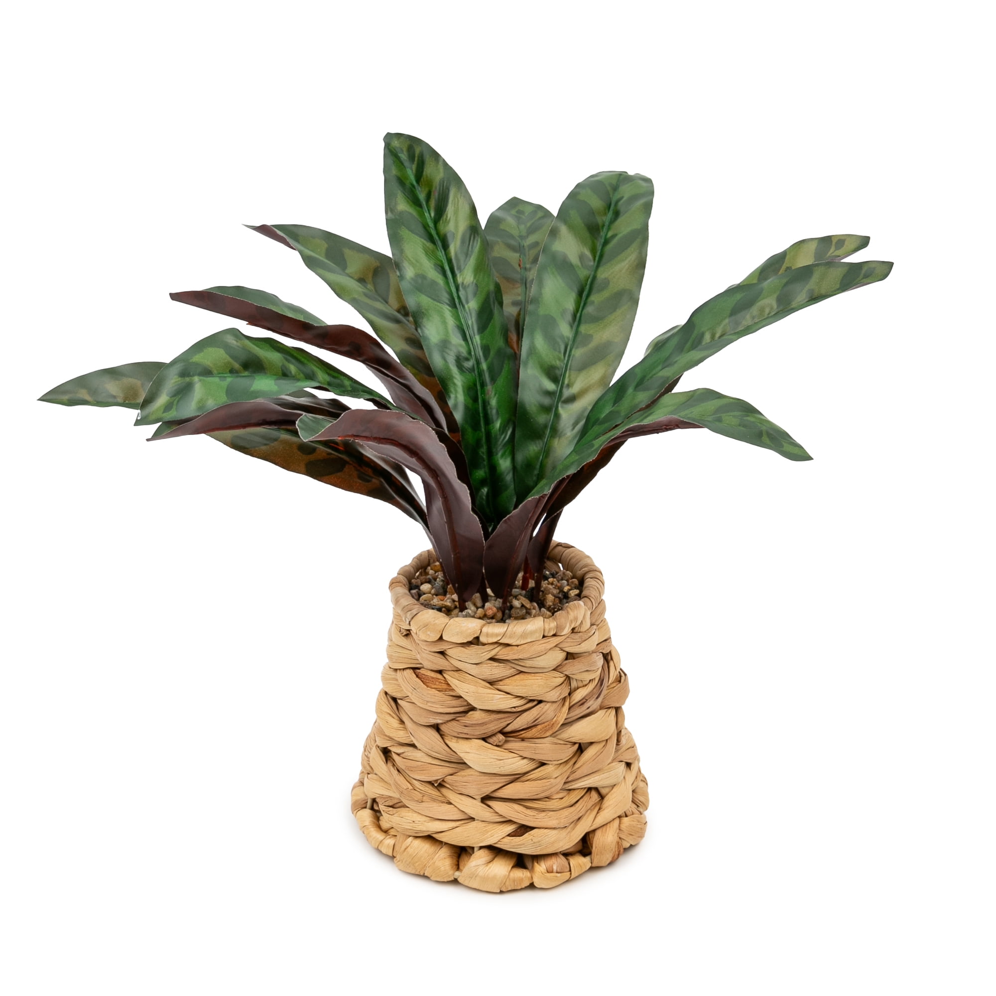 Better Homes & Gardens Artificial Rattlesnake Plant in Rattan Vase, 13"