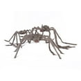 thumbnail image 2 of Hvmvliv Halloween Giant Fake Spider Halloween Hairy Spider Decorations Realistic Scary Spider Props Decoration For Indoor And Outdoor Decoration (150cm), 2 of 2
