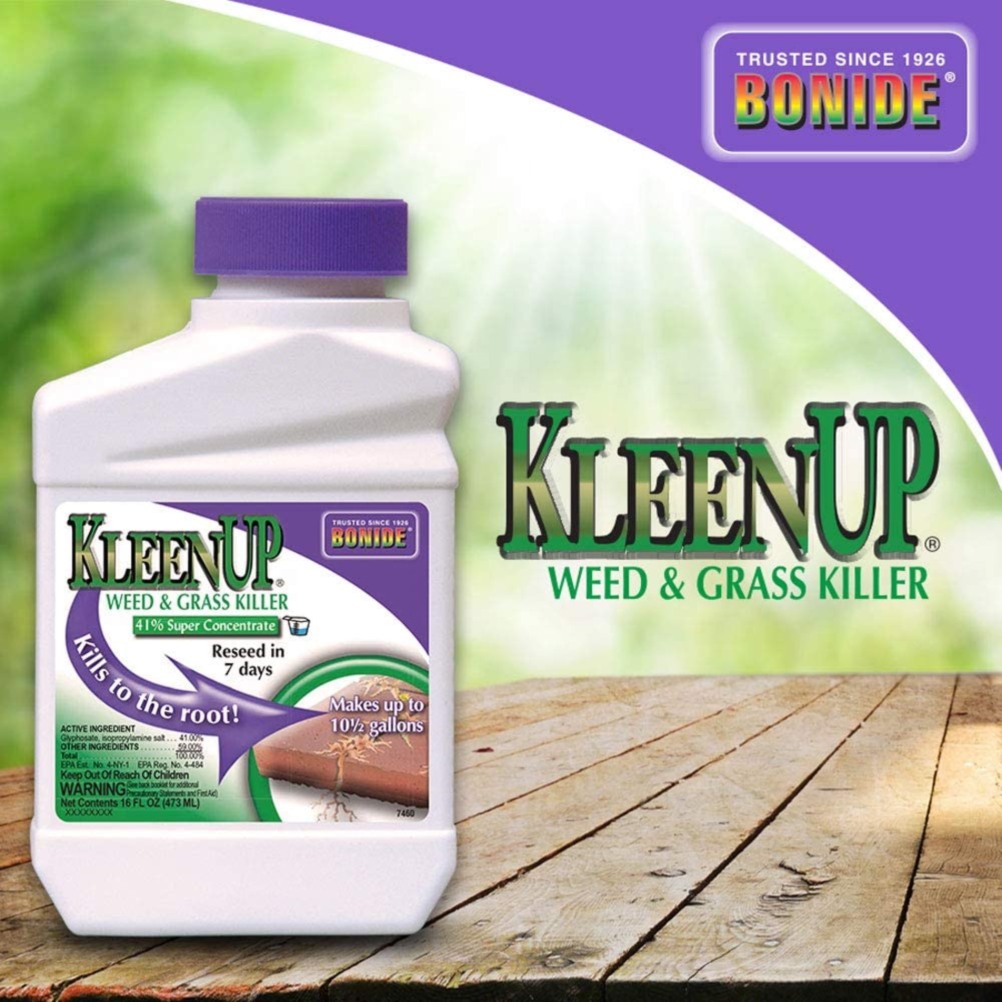 Buy BONIDE PRODUCTS 7460 Concentrate Kleen Up Weed Killer, 16Ounce