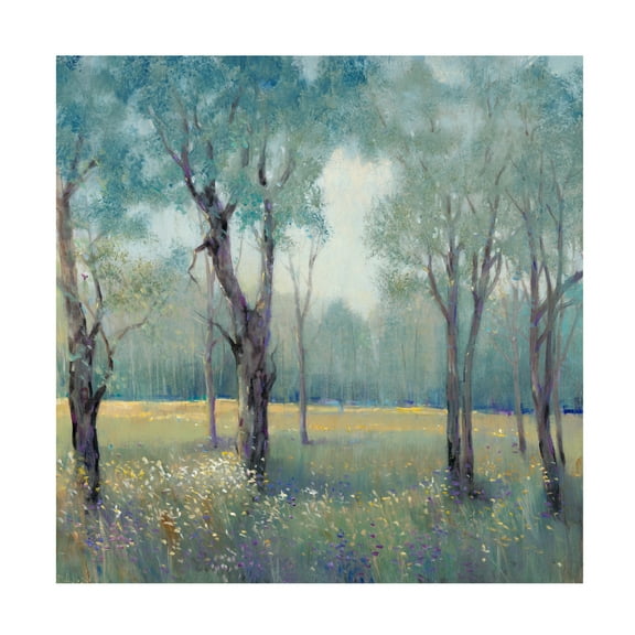 Trademark Fine Art Tim OToole Thin Morning Mist Canvas Wall Art - 24x24