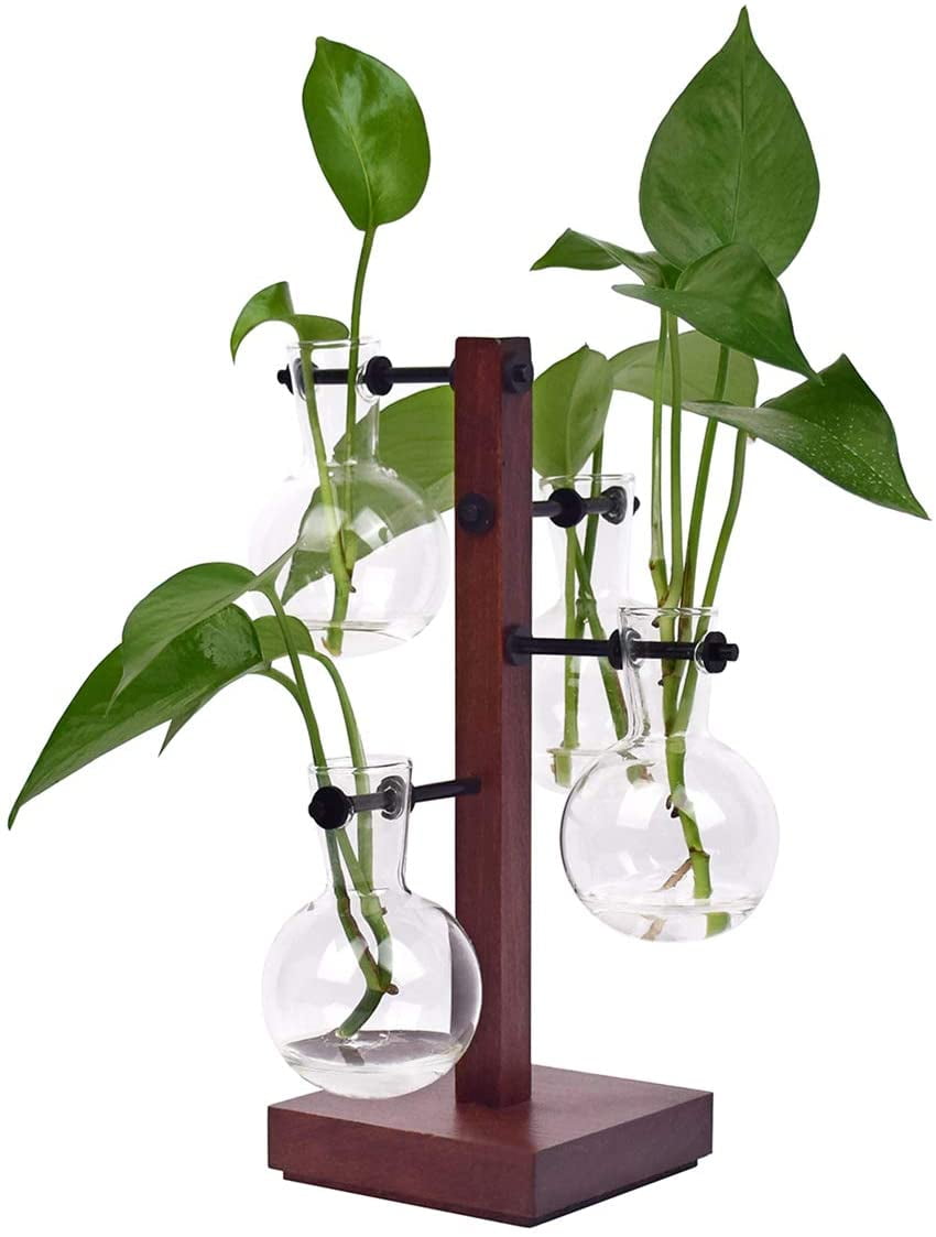 Desktop Glass Planter Bulb Vases with Retro Wooden Stand for Hydroponics Plants 