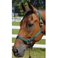 thumbnail image 2 of Jeffers Equine Turnout Nylon Halter for Horses, Black - 2 Ply Durable Nylon Webbing, Adjustable Headcollar w/ Metal Hardware, Equestrian Horse Halter for Stable & Ranch Use - 2 Year Old 600-900 lbs, 2 of 2