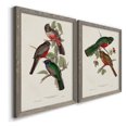 thumbnail image 3 of Elegant Trogons V - Premium Framed Canvas 2 Piece Set - Ready to Hang, 3 of 7