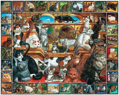 jigsaw puzzle world online game