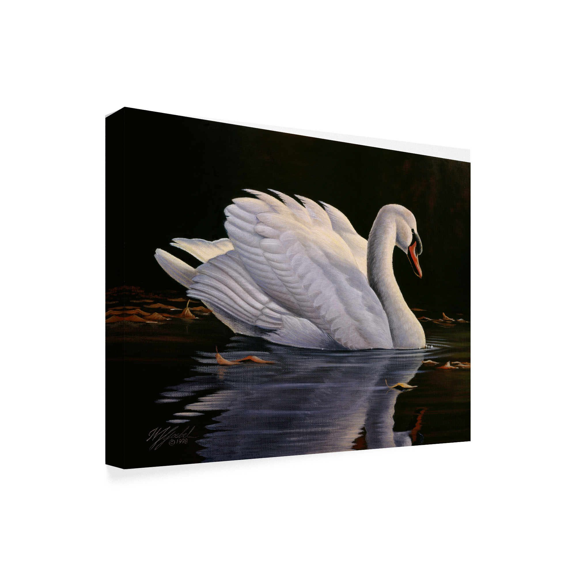 Trademark Fine Art 'Reflection Mute Swan' Canvas Art by Wilhelm Goebel