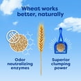 thumbnail image 6 of sWheat Scoop Multi-Cat Natural Clumping Wheat Cat Litter, 15lb, 6 of 8