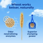 sWheat Scoop Multi-Cat Natural Clumping Wheat Cat Litter, 15lb