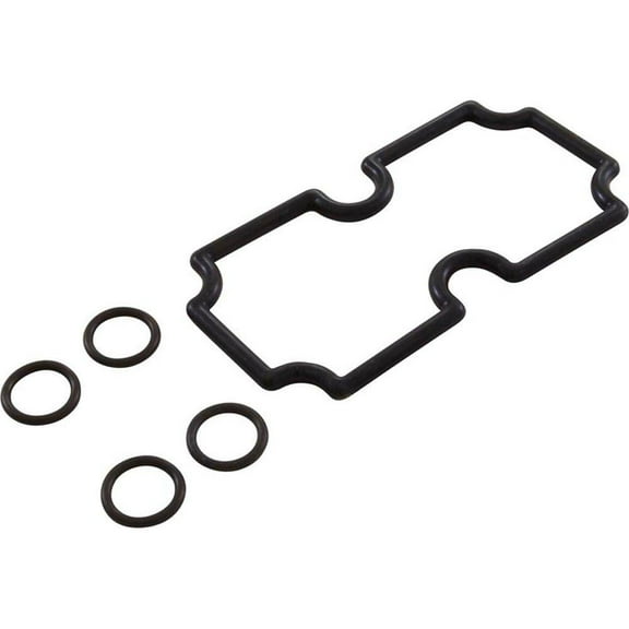 O-Ring Kit, Pentair MasterTemp 125, Coil/Tubesheet Sealing