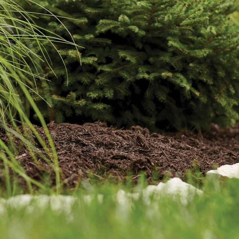 Scotts Deep Forest Brown Garden Mulch - 42.5L Natural Forest Product With ColourGuard Formula