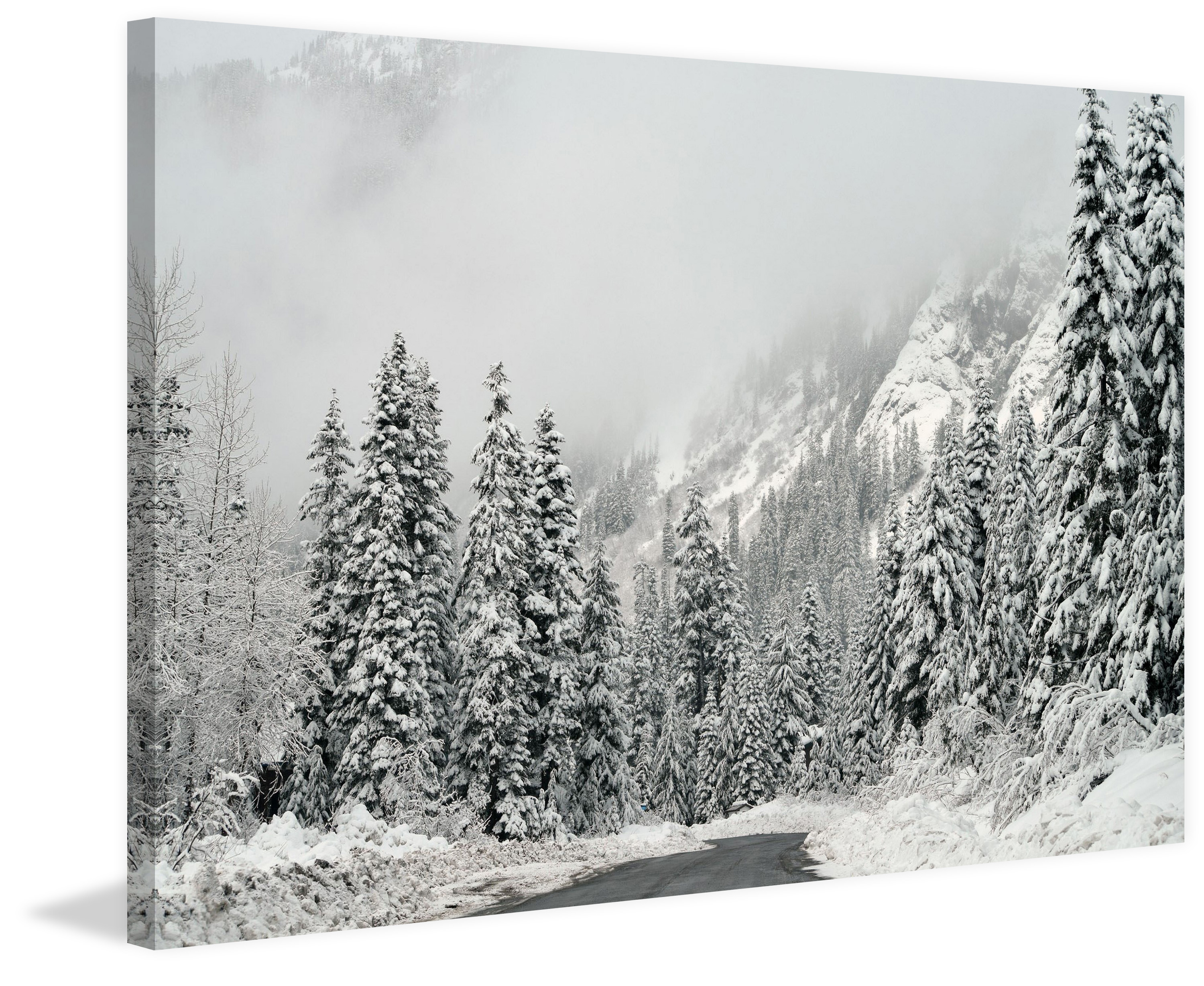 "Winter Wonderland" Painting Print on Wrapped Canvas