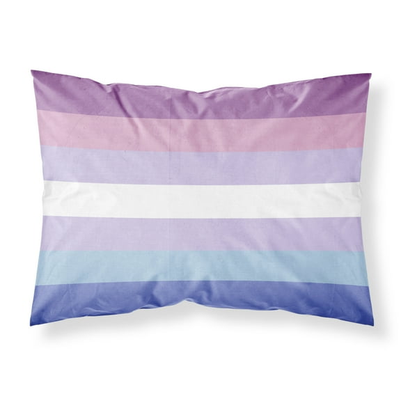 Carolines Treasures CK8001PILLOWCASE Bigender Pride Fabric Standard Pillowcase Standard multicolor