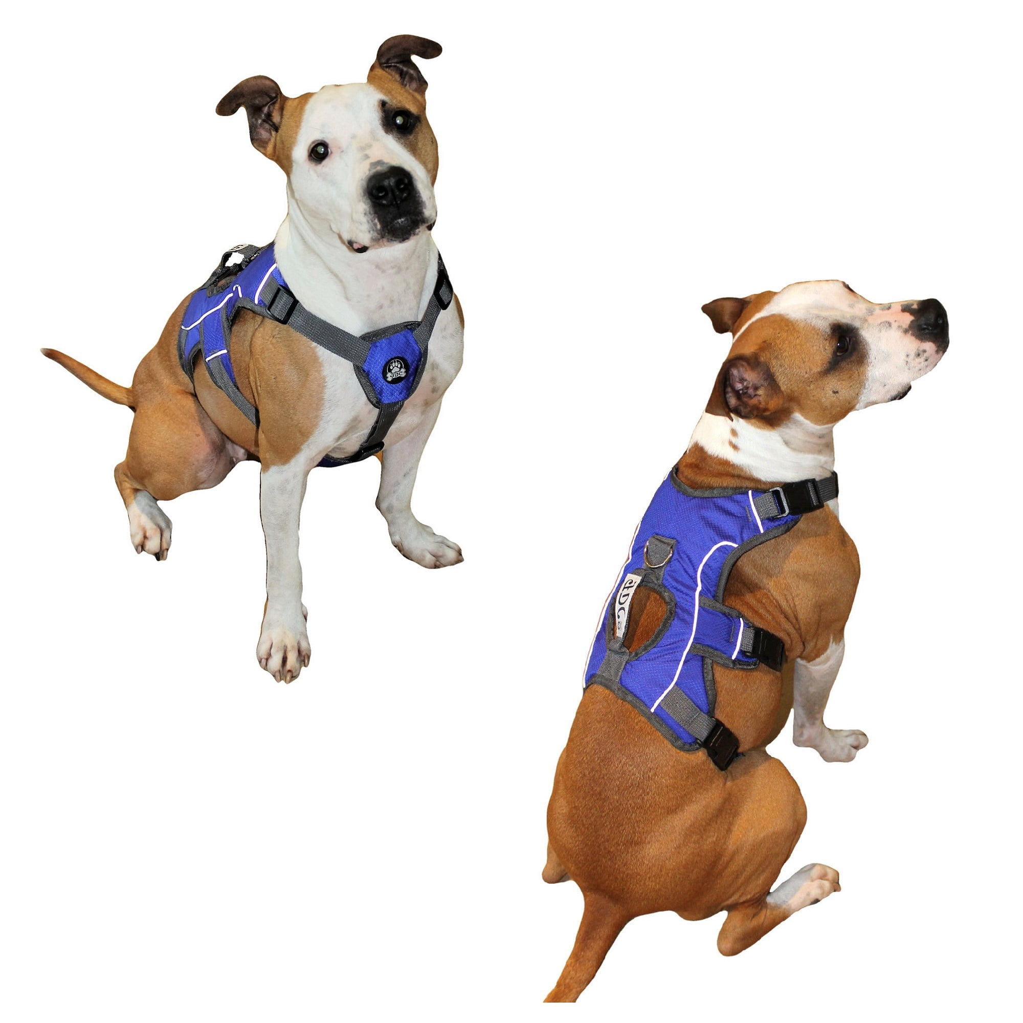 Heavy Duty Padded No-Pull Reflective Dog Harness Vest with Handle Medium to Large Dogs (Large: Chest 26" - 30", Blue)