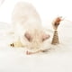 thumbnail image 5 of 3 PCS Tejido Gato Juguete Hogar Creativo Juguetes Mascotas para de Interior, 5 of 7