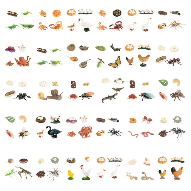 1 Set Modèle de Ver de Pique en Plastique Premium Figurines d'Insectes Significatives Modèles Éducatifs Précoces pour Projet Scolaire cicada type2