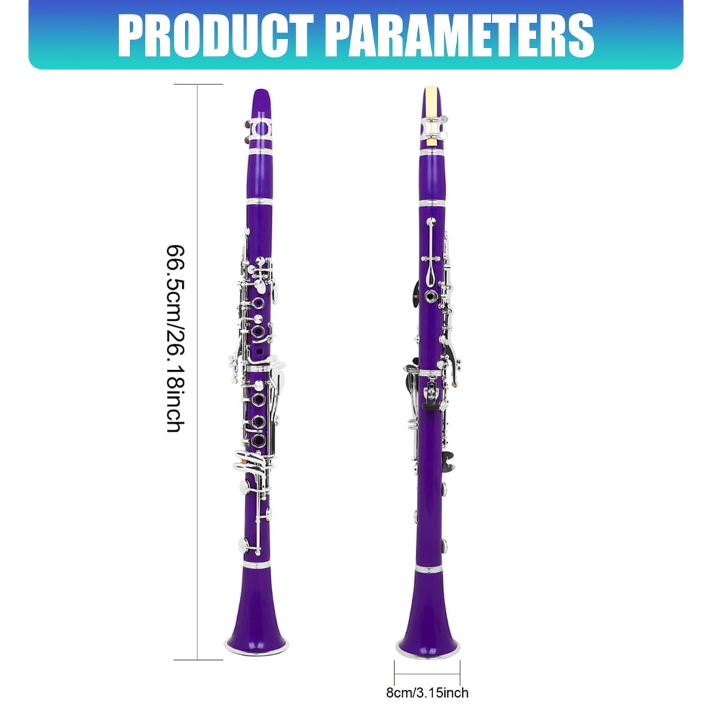 Miiottaa Bb Tone Clarinet for Beginners, 17 Keys Student Level Plastic Clarinet Woodwind