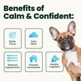 thumbnail image 5 of VetriScience Calm & Confident Chews for Dogs, Chicken, 120 Count, 5 of 11